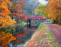 CANAL TOWPATH IN AUTUMN