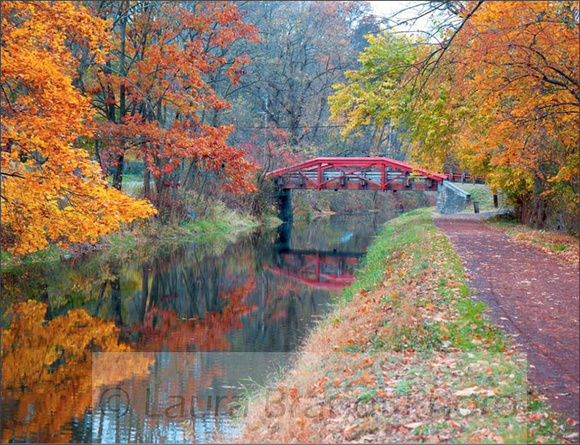CANAL TOWPATH IN AUTUMN