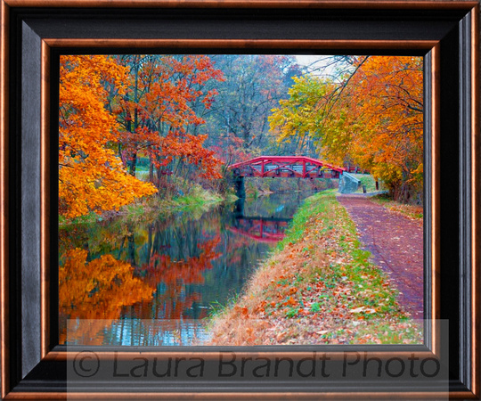 Canal Towpath in Autumn (Framed)