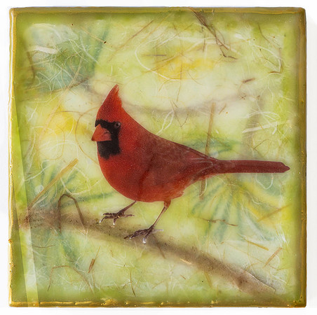 Cardinal on Branch_1_SOLD